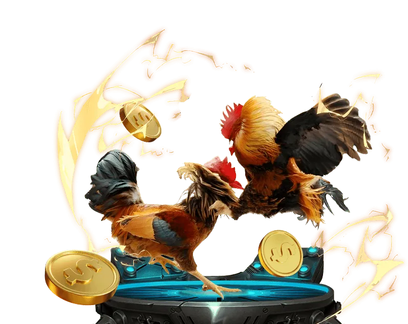 Dịch vụ hỗ trợ khách hàng 24/7 của ứng dụng